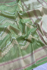 Pista Green Tissue silk (Saree)