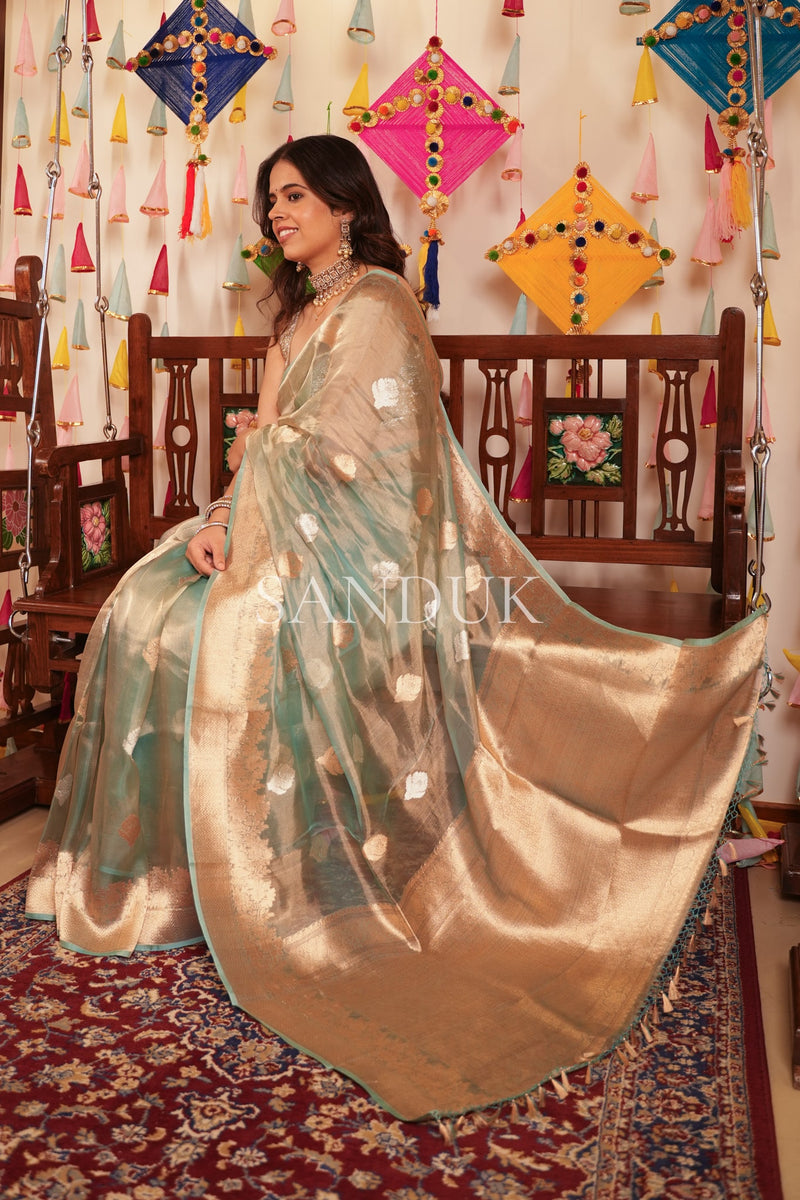 Aarna (Saree)