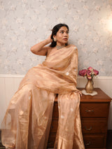Peach Blush Tissue Saree with Delicate Golden Woven Motifs
