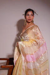 Kiara Pastel Rangkaat Saree