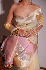 Kiara Pastel Rangkaat Saree