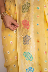 Lilibet (Saree)