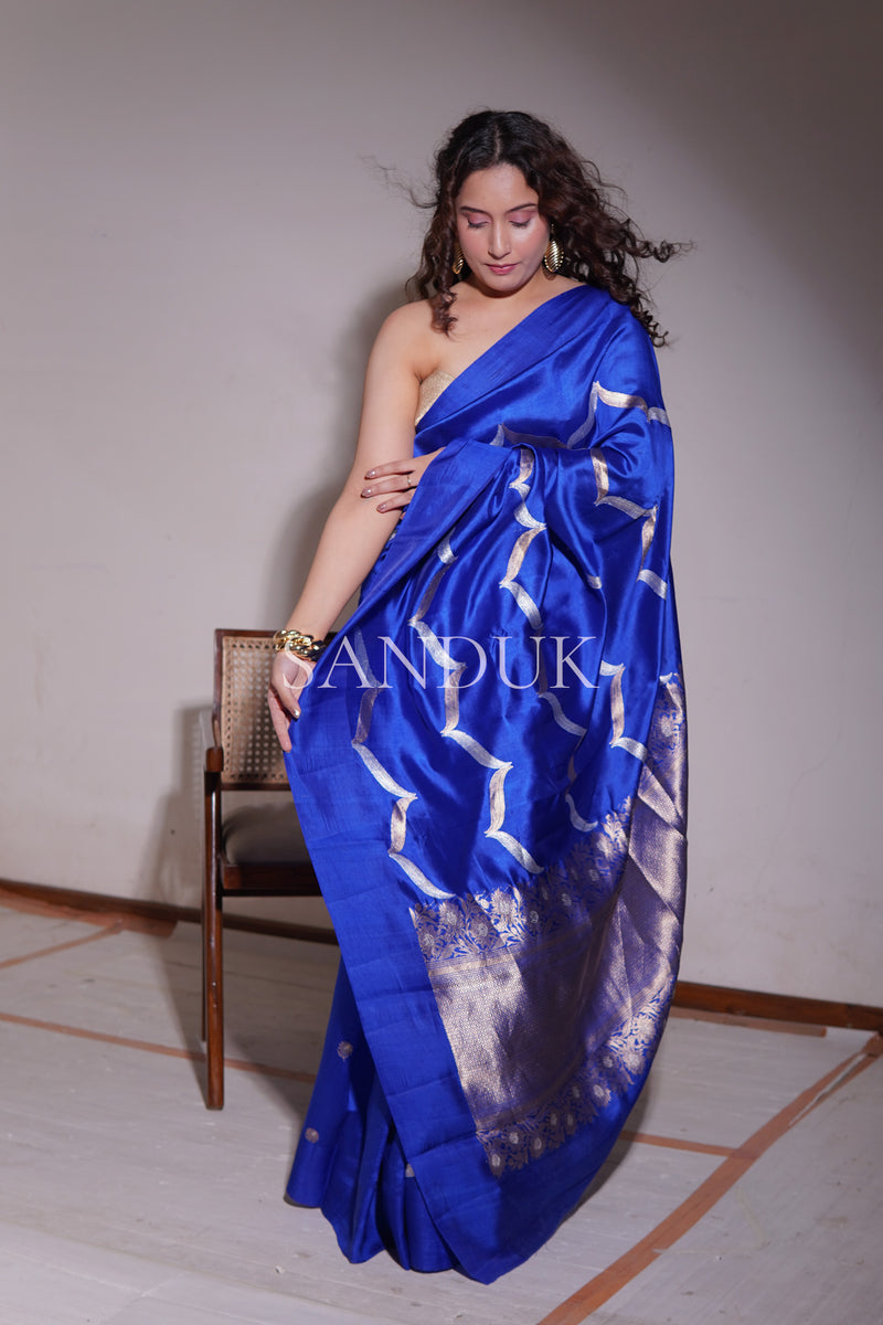 Ileana (Blue Saree)