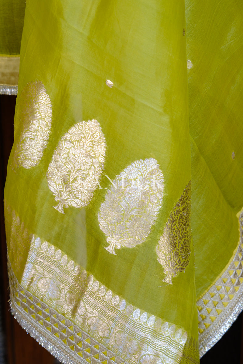 Nilambari (Lehenga)