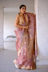 Sharon Scalloped Border (Saree)