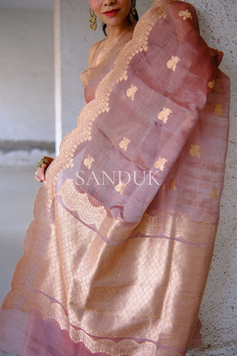 Sharon Scalloped Border (Saree)