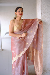 Sharon Scalloped Border (Saree)