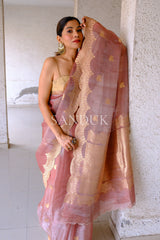 Sharon Scalloped Border (Saree)