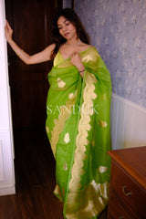 Meghana (Saree)