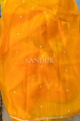 Riya Kora Silk Saree