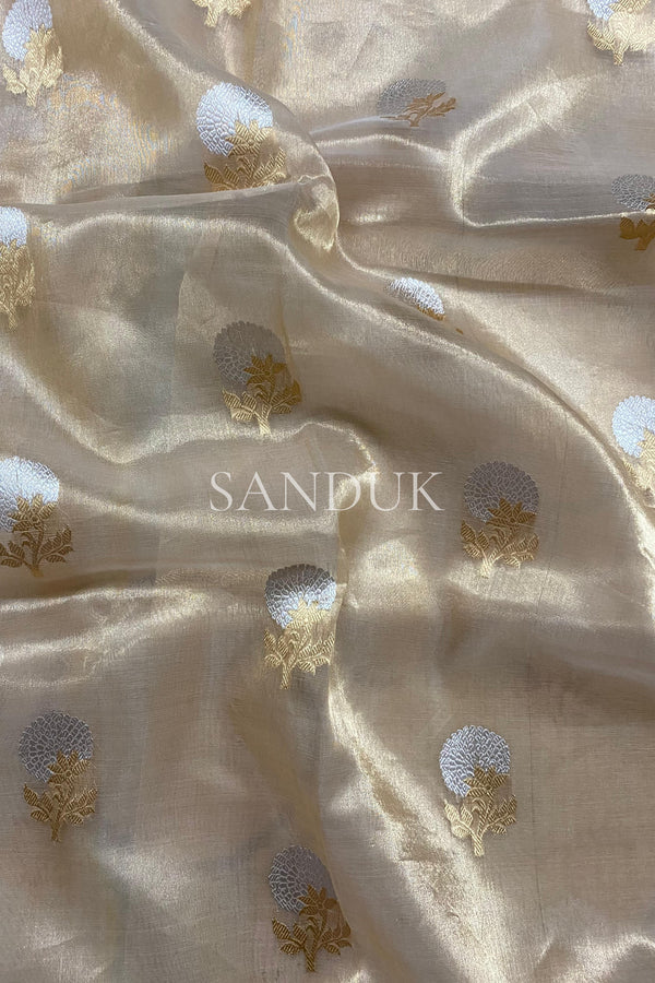 Nita Tissue Silk (Saree)