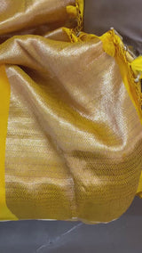 Meenakari Floral Mashru Saree